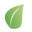Site icon